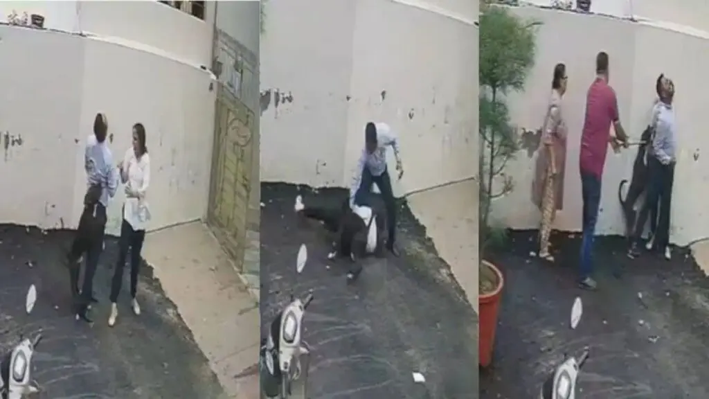 Pitbull mauls couple viewing house in Patiala, CCTV captures attack