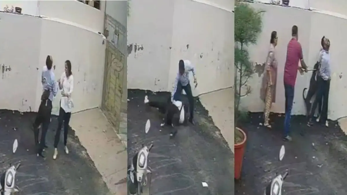Pitbull mauls couple viewing house in Patiala, CCTV captures attack
