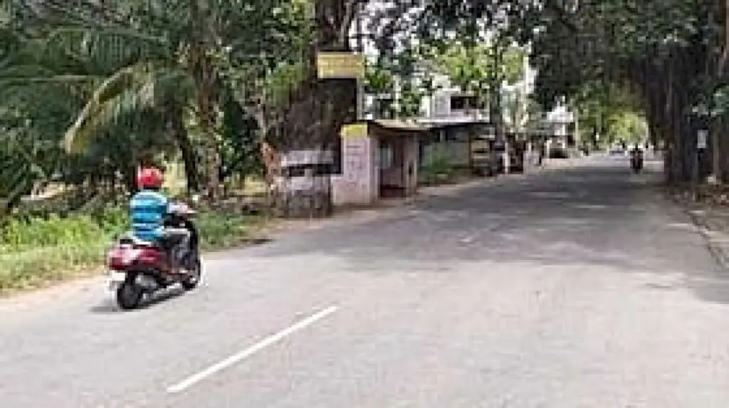 Naval trees disappear on 2-km stretch in Kanniyakumari