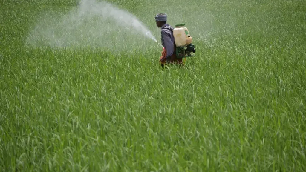 Centre proposes complete ban on Carbosulfan insecticide