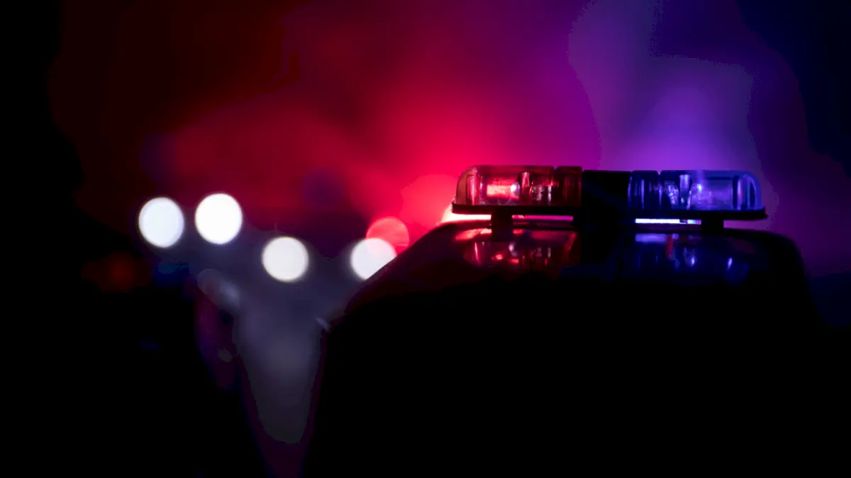 Indian-origin teen charged with killing mother, brother in US