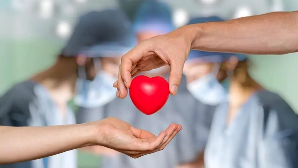 Tamil Nadu sees 266 organ donors; Telangana loses 1 in 5 waiting