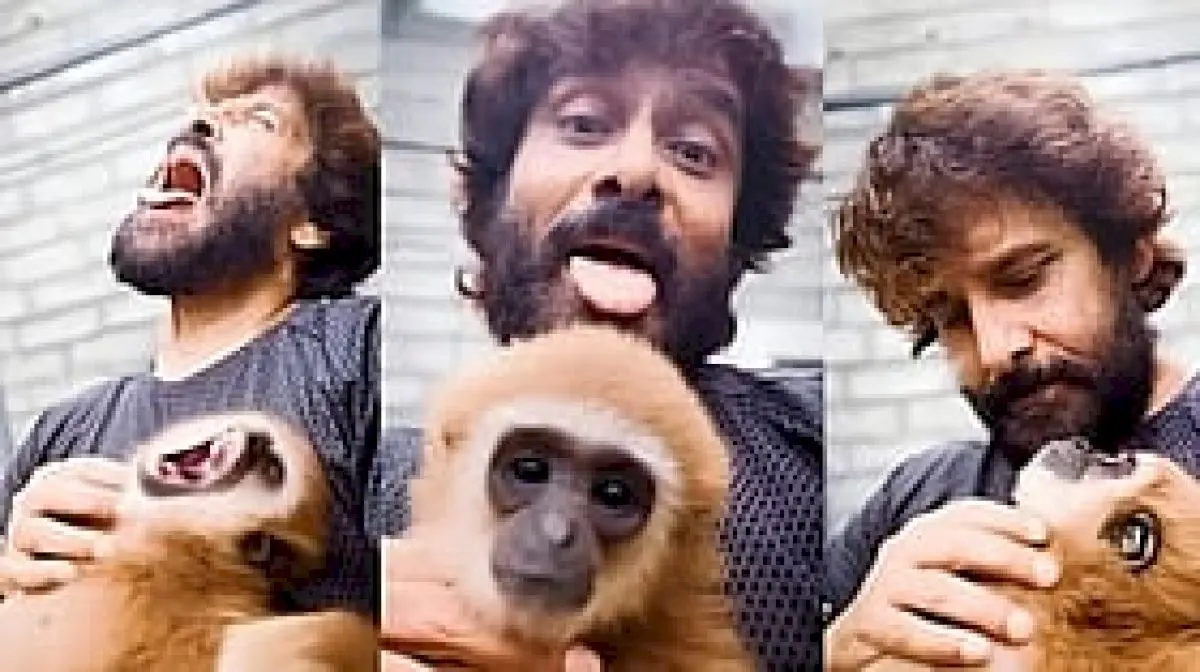 Vikram video triggers probe into endangered Lar Gibbon possession