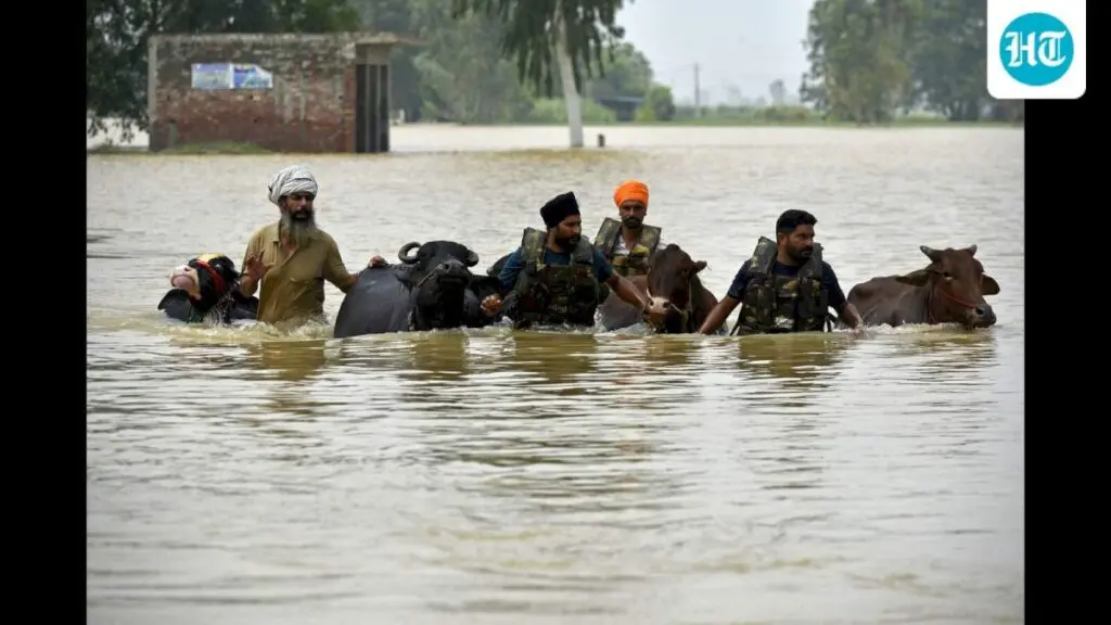 Punjab rights panel wants State CSR Authority for flood relief