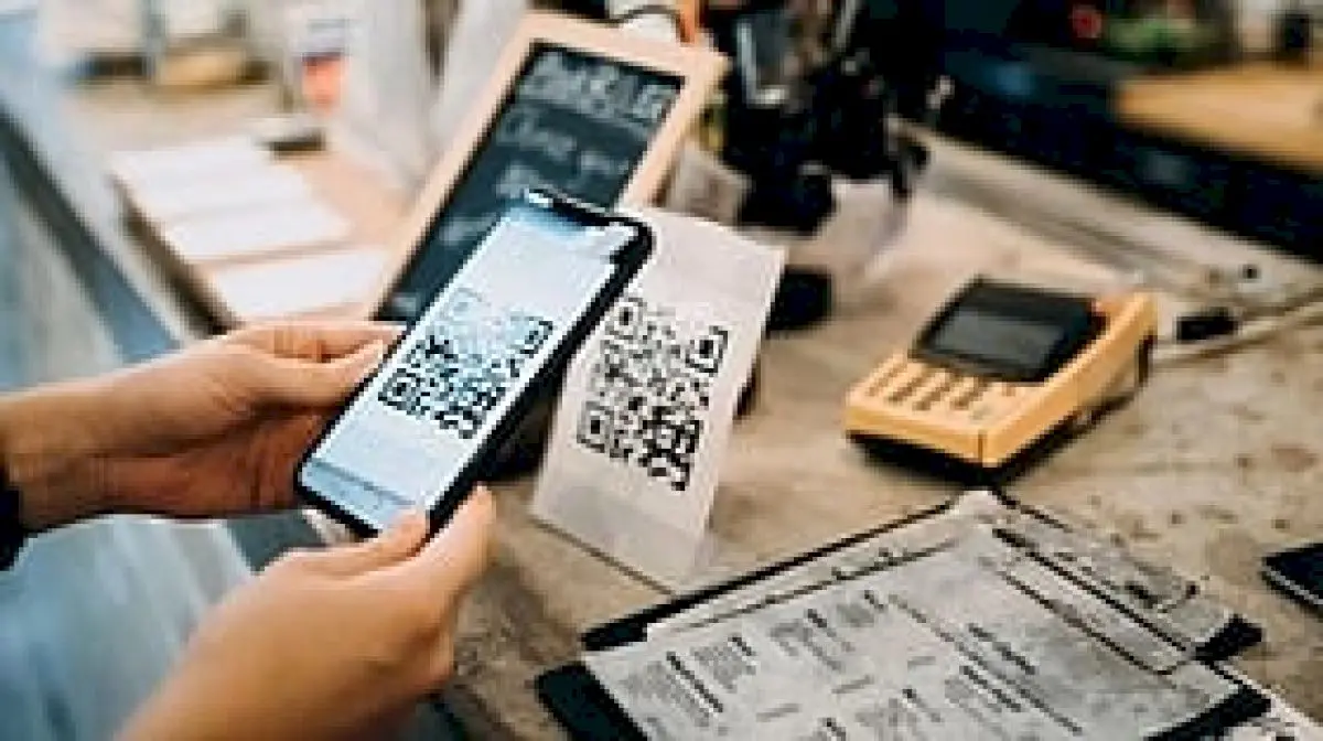 Parliament panel seeks calibrated MDR on high-value digital payments