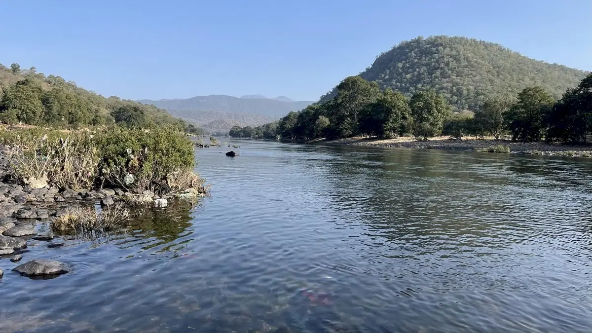 Cauvery panel chief urges river board for entire basin