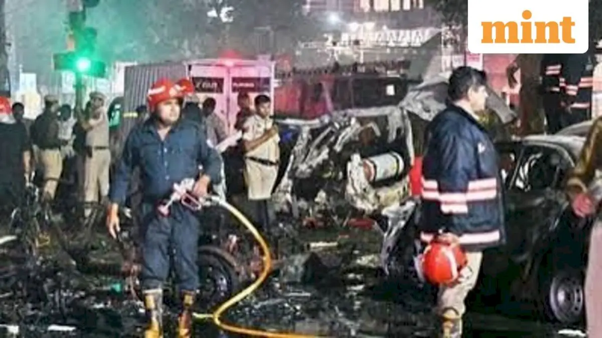 UNSC attributes November 2025 Red Fort blast to Al-Qaeda in Indian Subcontinent