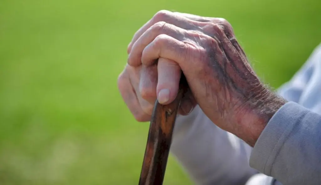Only parents, seniors can file complaints under Senior Citizens Act: HC