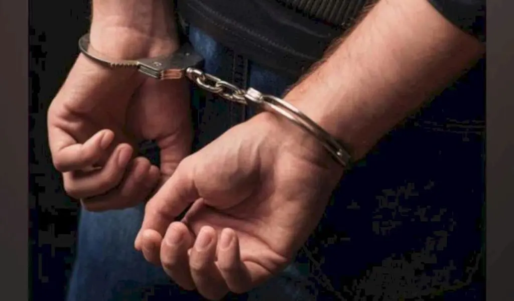 Mancherial police arrest 16 for cockfighting, seize 45 knives