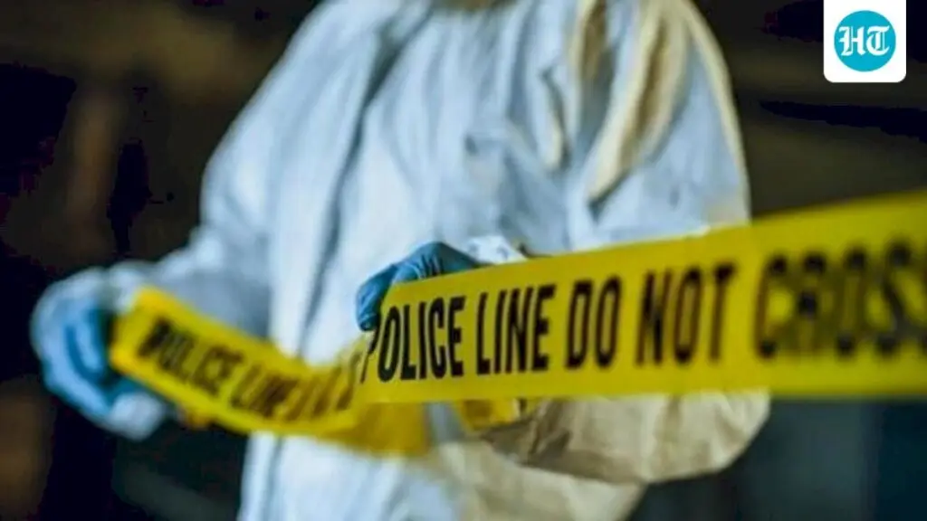 Husband sets wife ablaze in Rajasthan, dies from burns