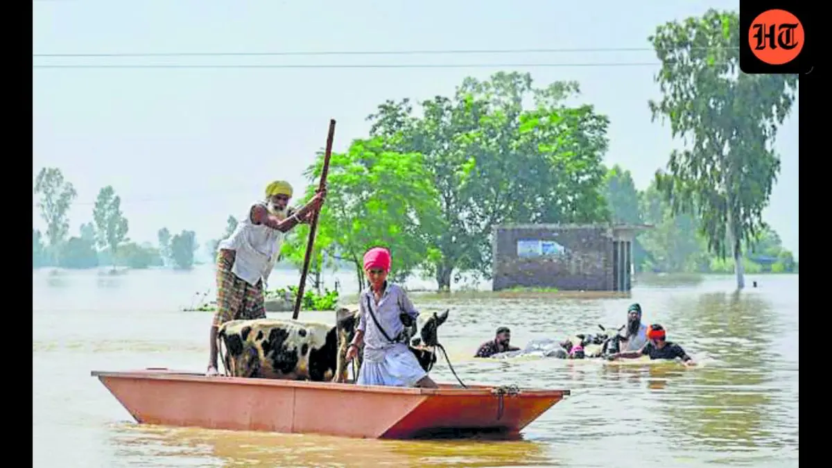 Punjab’s river desilting plan faces Centre’s green hurdle