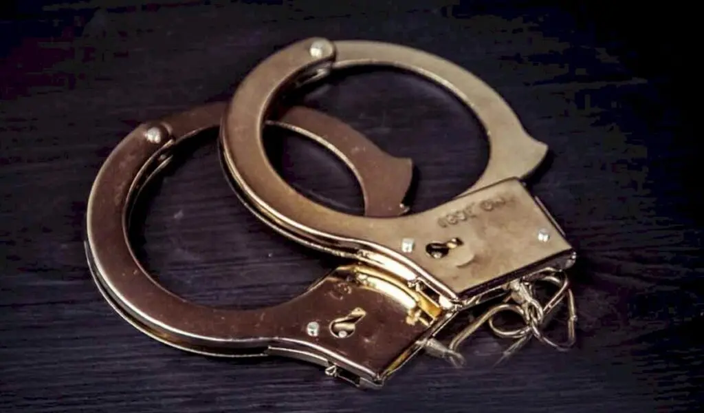 Delhi Police Arrest Five for Man's Murder After Two Attempts