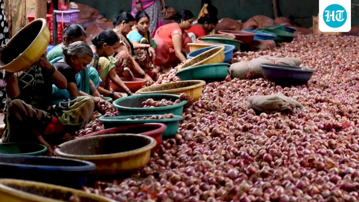 Vashi APMC to decide onion-potato market fate in 2 months