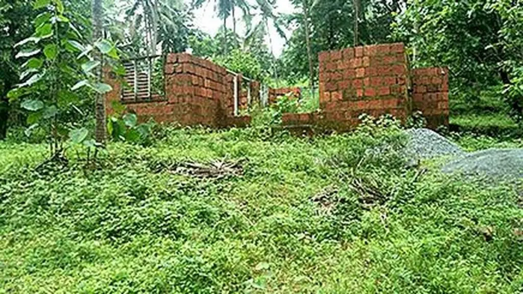 Kerala ministers to visit Aralam farm over human-wildlife conflict