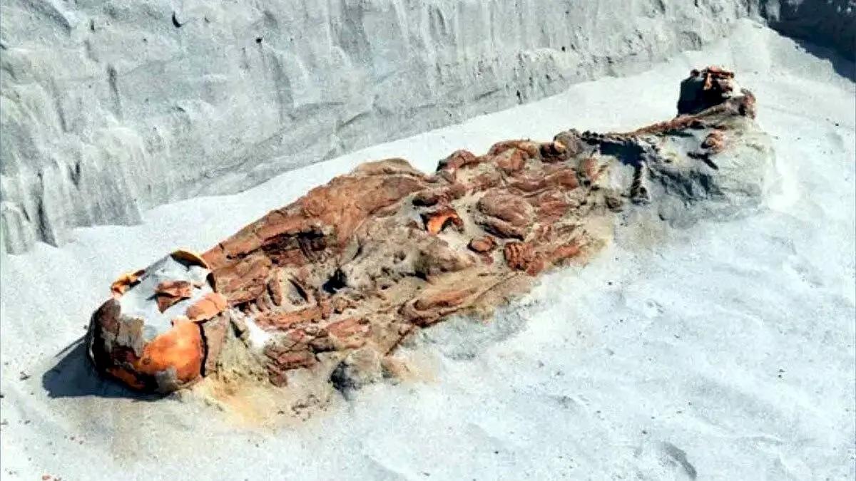 Medieval settlement with 100 skeletons found near India-Pak border