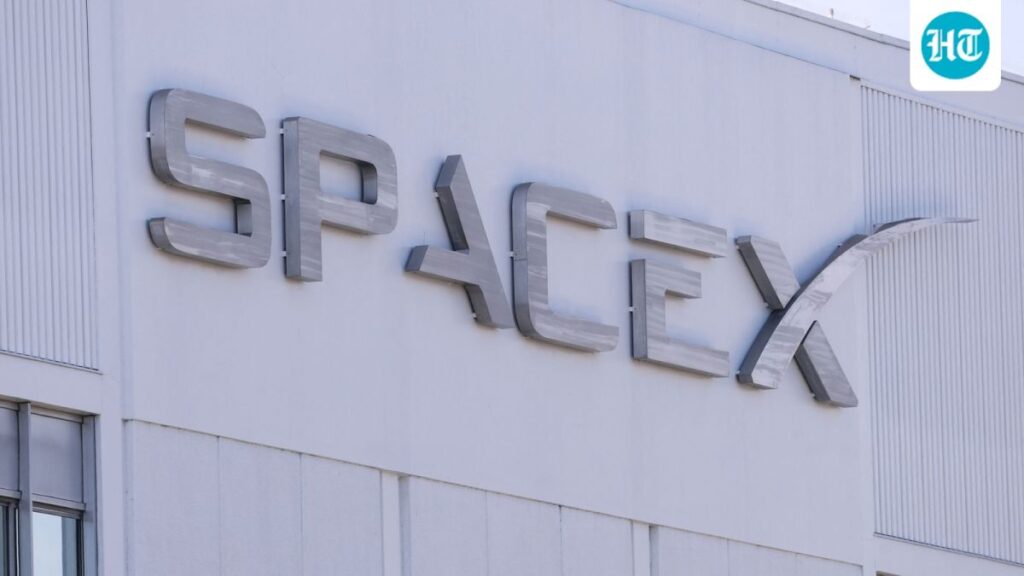 SpaceX revenue doubles to $7.8 billion as AI spending surges