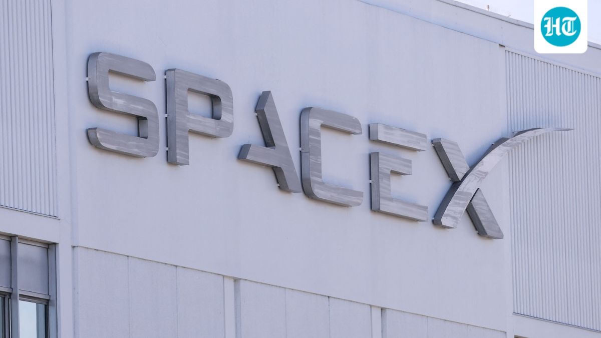 SpaceX revenue doubles to $7.8 billion as AI spending surges