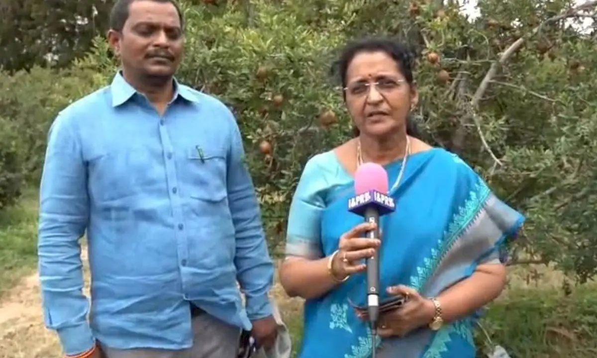 Anantapur farmers told to enroll in crop insurance by July 31