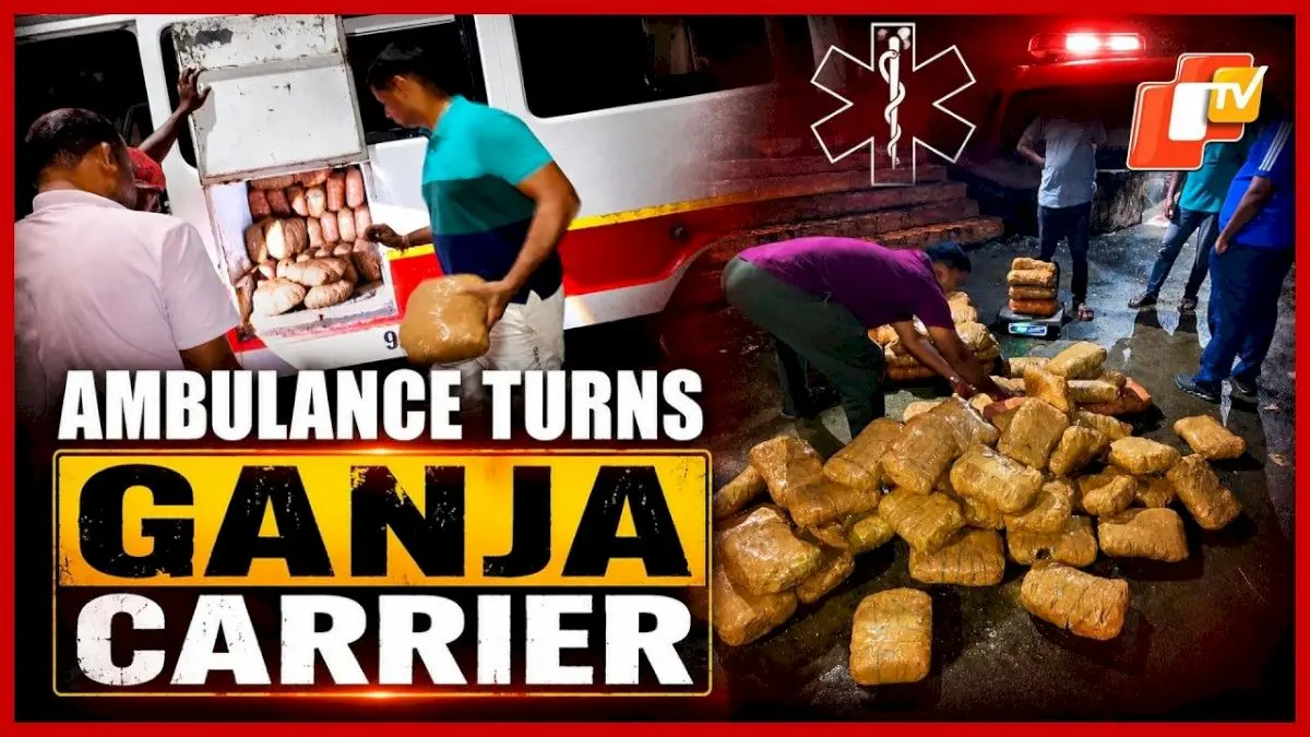 Ganja Worth Rs 2 Crore Seized From Ambulance In Malkangiri