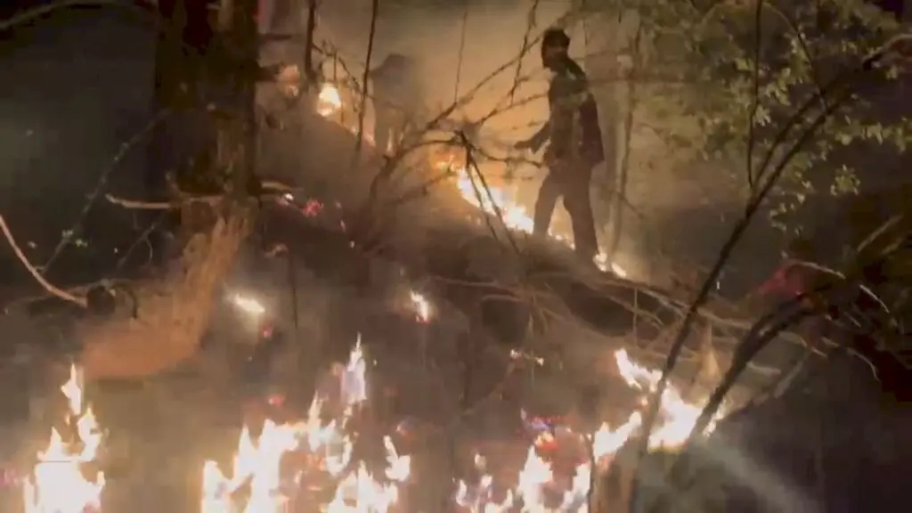 J&K gets Rs 11.08 lakh forest fire aid after four years without funds