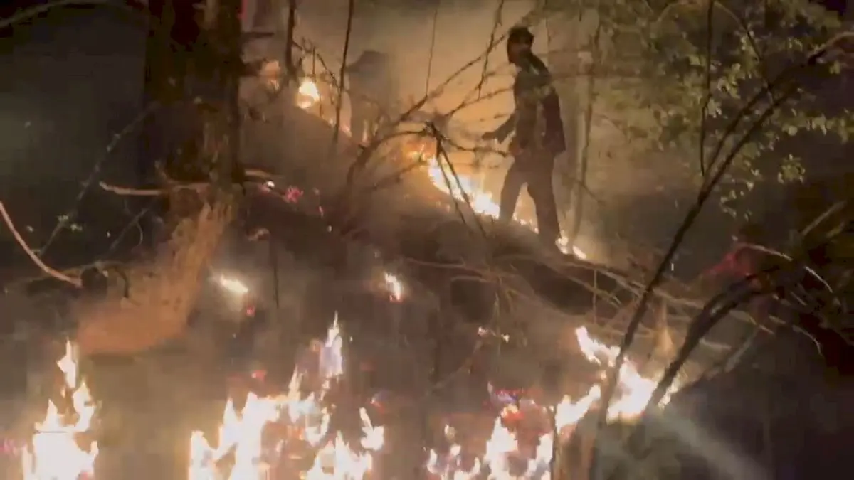 J&K gets Rs 11.08 lakh forest fire aid after four years without funds