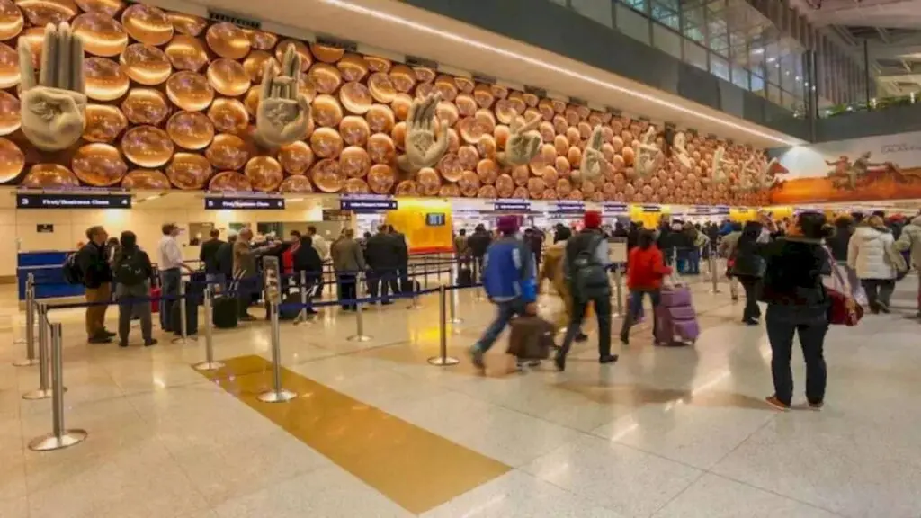 Skull Found in Baggage at Delhi Airport, CISF Probes