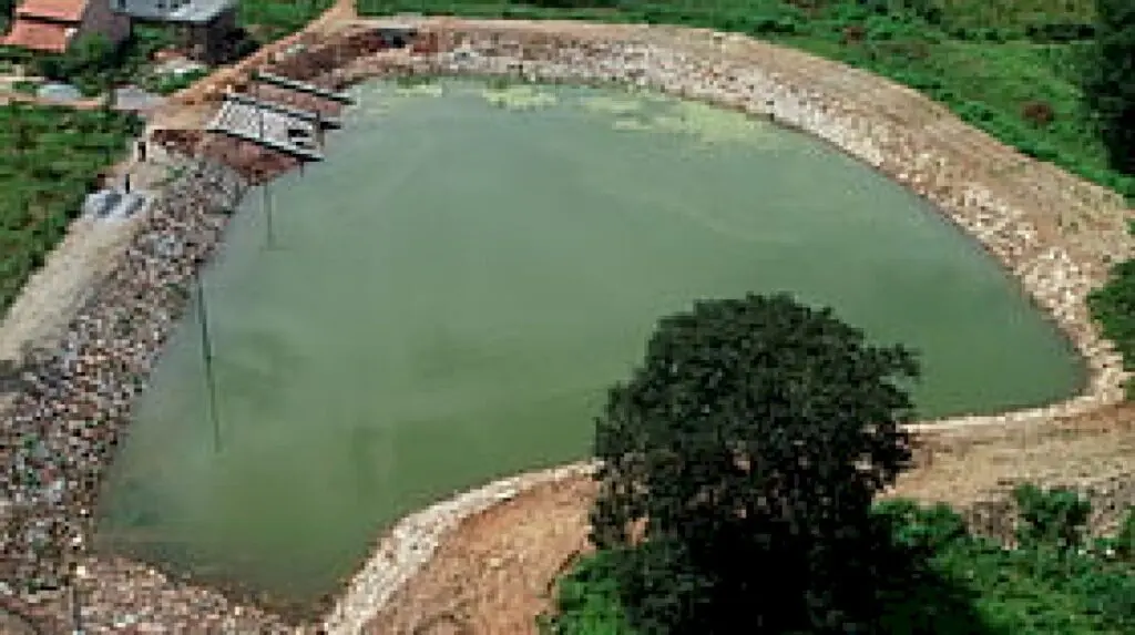 Mysuru to hoist tricolour at 85 ponds rejuvenated under MGNREGA