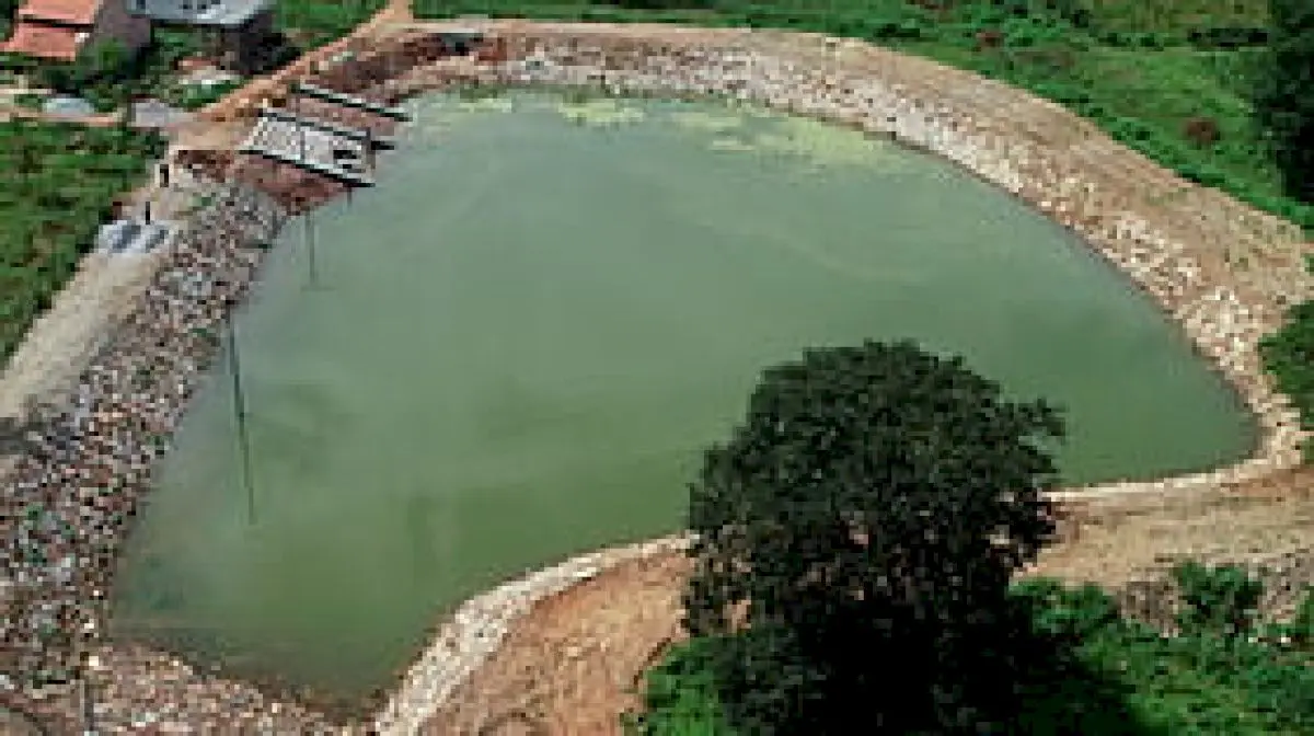 Mysuru to hoist tricolour at 85 ponds rejuvenated under MGNREGA