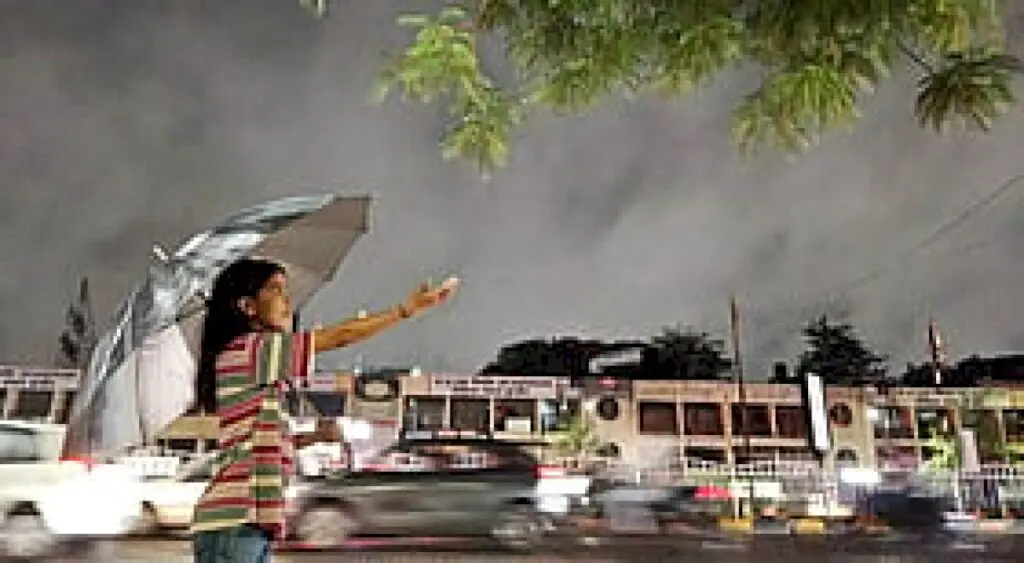 Heavy rain alert for 12 MP districts as monsoon revives