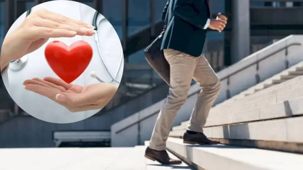 Taking stairs cuts heart disease death risk 39%, study finds
