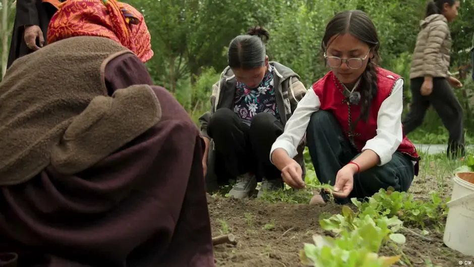 Two schools bring life back to Ladakh's ghost villages