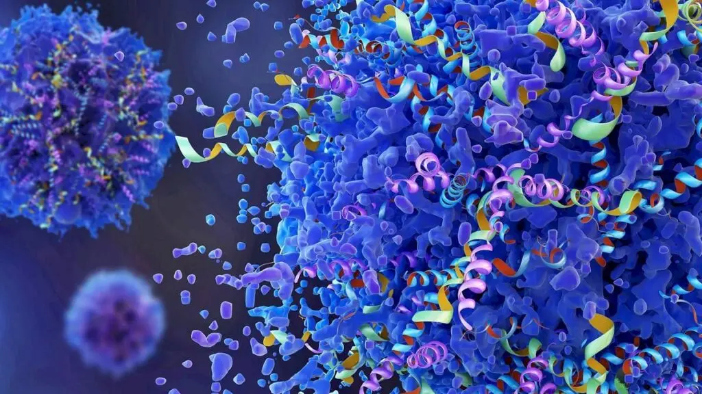 Banned peptide injections for body optimisation surge