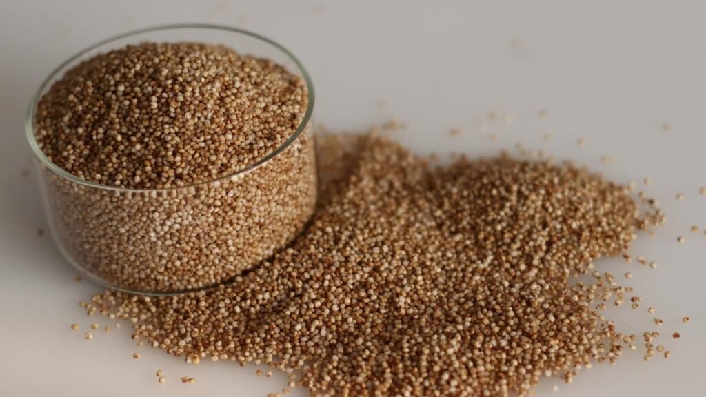 Iron-and-zinc fortified millet found safe for toddlers’ gut health