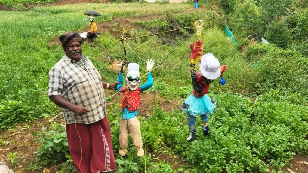Makeshift zipline with puppets scares monkeys from Kerala farm
