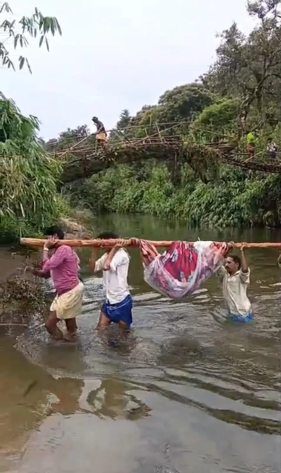 Tribal woman carried 5 km on bamboo stretcher in Idukki