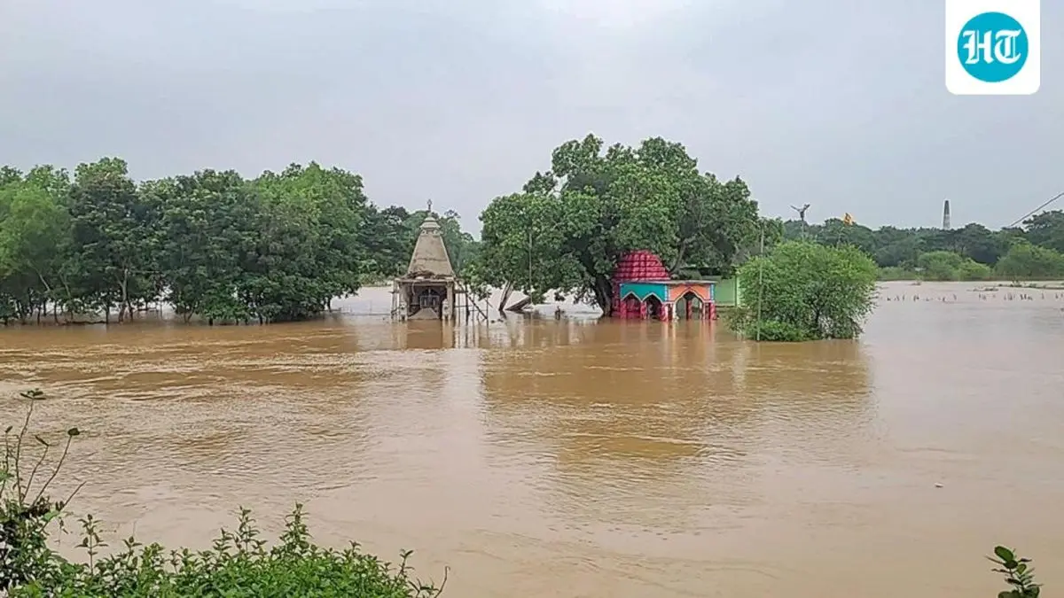 Flash flood risk in 11 Odisha districts as rain worsens floods