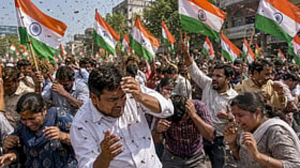 Bee attack on BJP's Tiranga Yatra in MP injures 40 workers