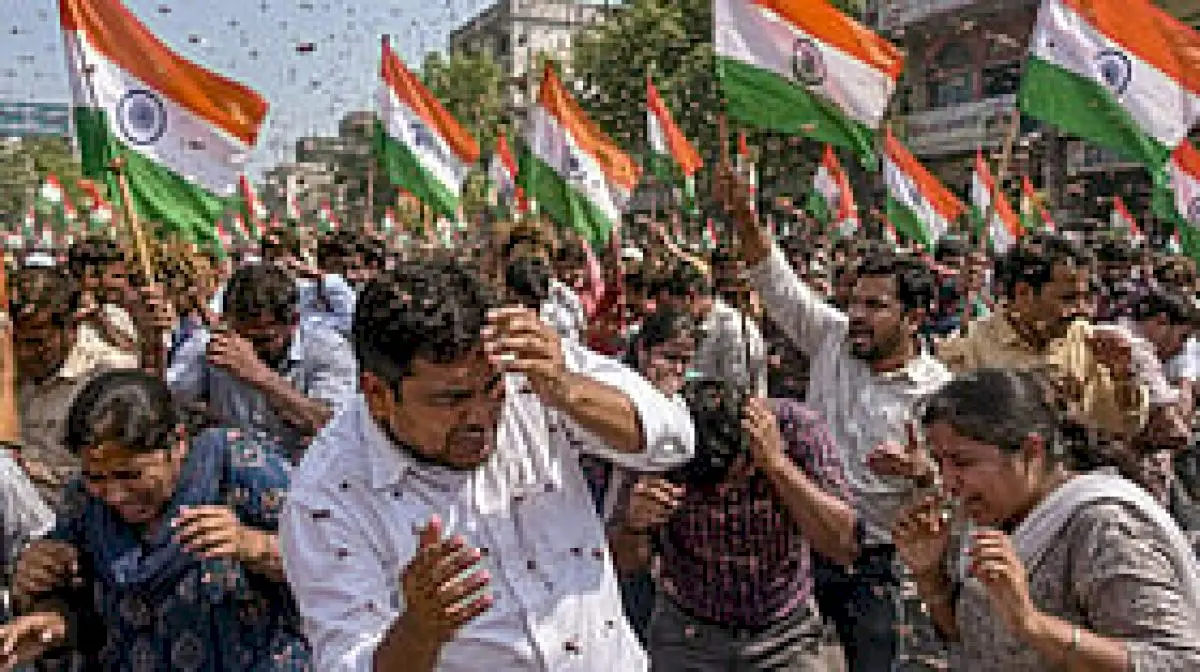 Bee attack on BJP's Tiranga Yatra in MP injures 40 workers