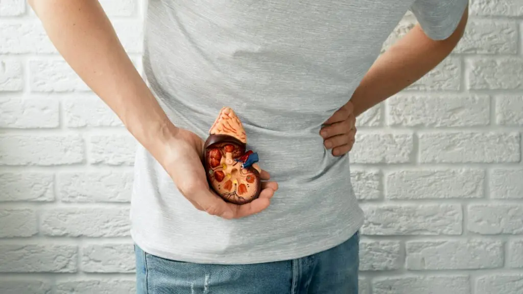 Men Over 40 Should Watch for Kidney Disease Warning Signs