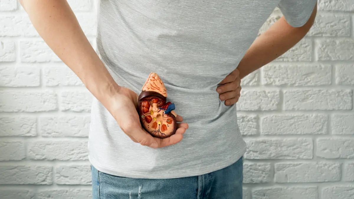 Men Over 40 Should Watch for Kidney Disease Warning Signs