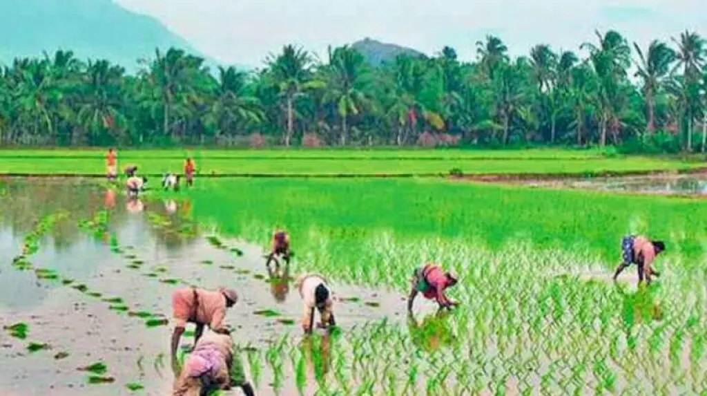 Andhra minister hints at crop insurance deadline extension
