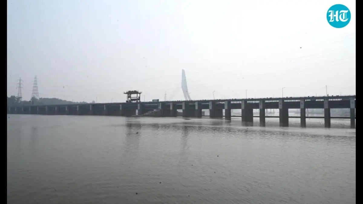 Okhla barrage redesign among six fixes for Yamuna froth