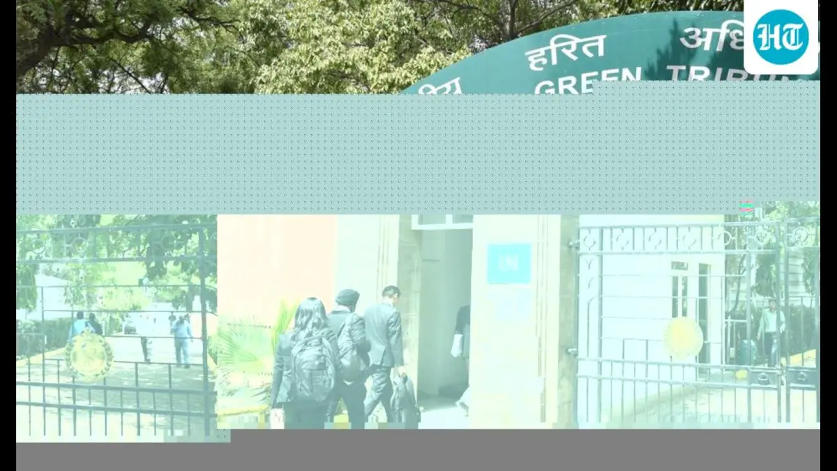NGT orders inspection of all Bahadurgarh industrial units