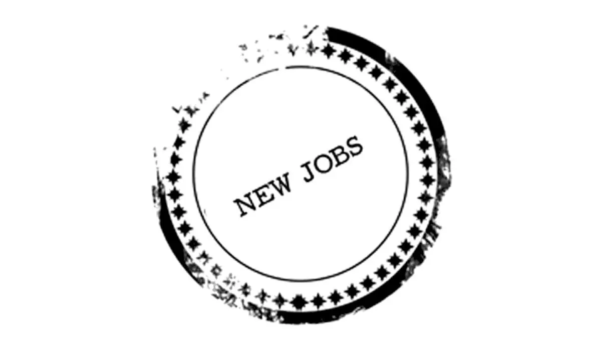 MP Transport Company Opens Manager Legal Regulatory Recruitment