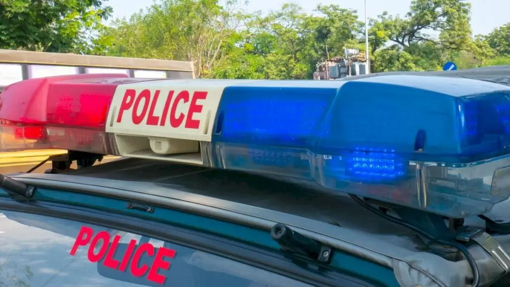 Bihar reports fall in murder, dacoity and riot cases