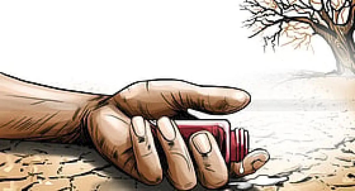 Odisha farmer dies after rain damages paddy nursery