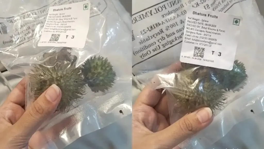 Bengaluru Woman Claims Swiggy Instamart Sent Toxic Datura Fruit