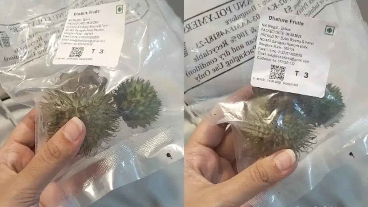 Bengaluru Woman Claims Swiggy Instamart Sent Toxic Datura Fruit