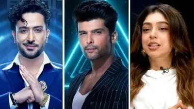 Niti Taylor calls Kushal Tandon, Aly Goni Alliance masterminds