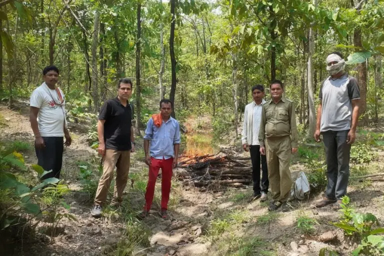 Herders quitting, skills for tiger coexistence disappearing